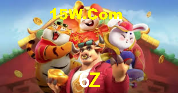 6Z